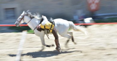 Le Puy du Fou : dernière partie Le Puy du Fou : dernière partie